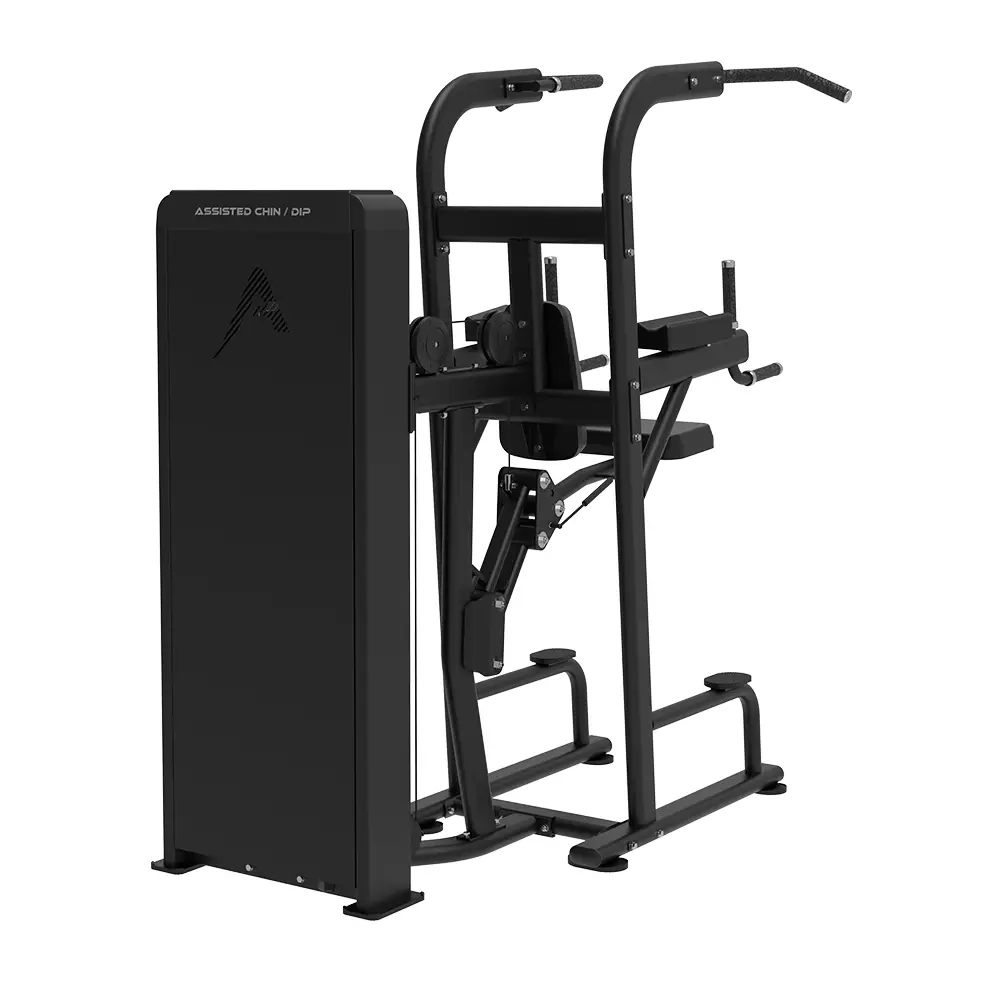 APUS Assisted Chin / Dip