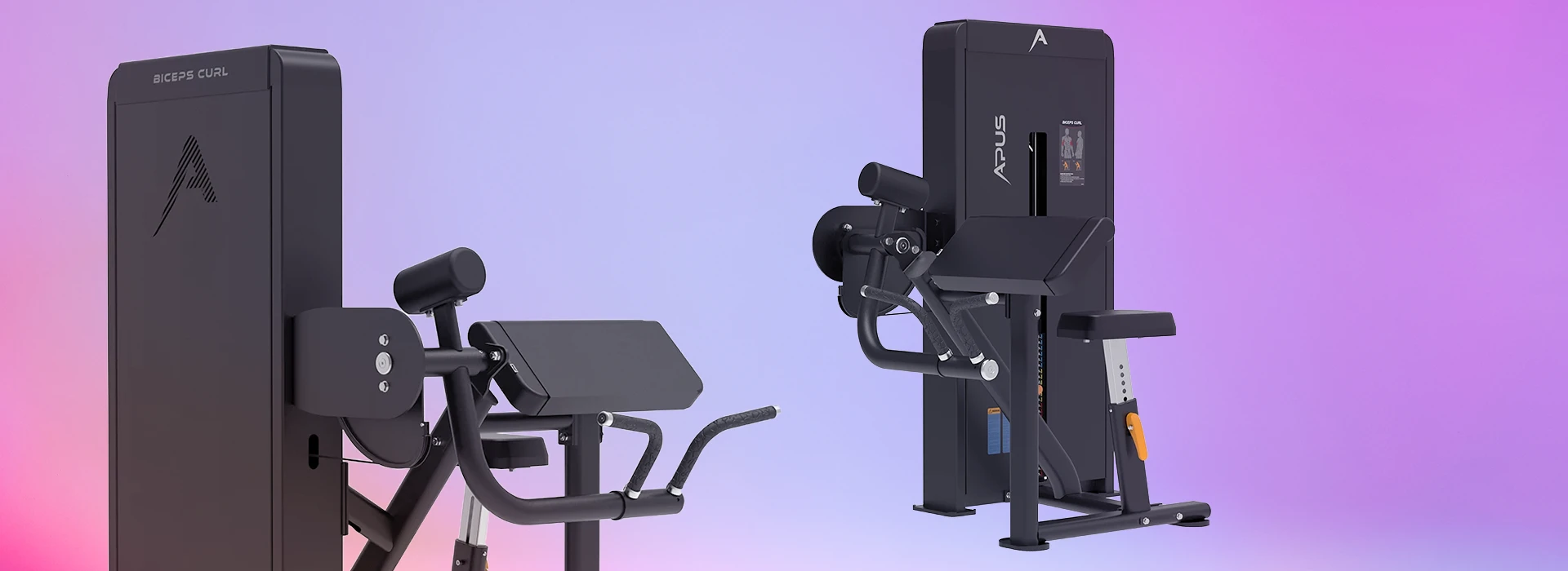 APUS Biceps Curl | Professional Gym Gear