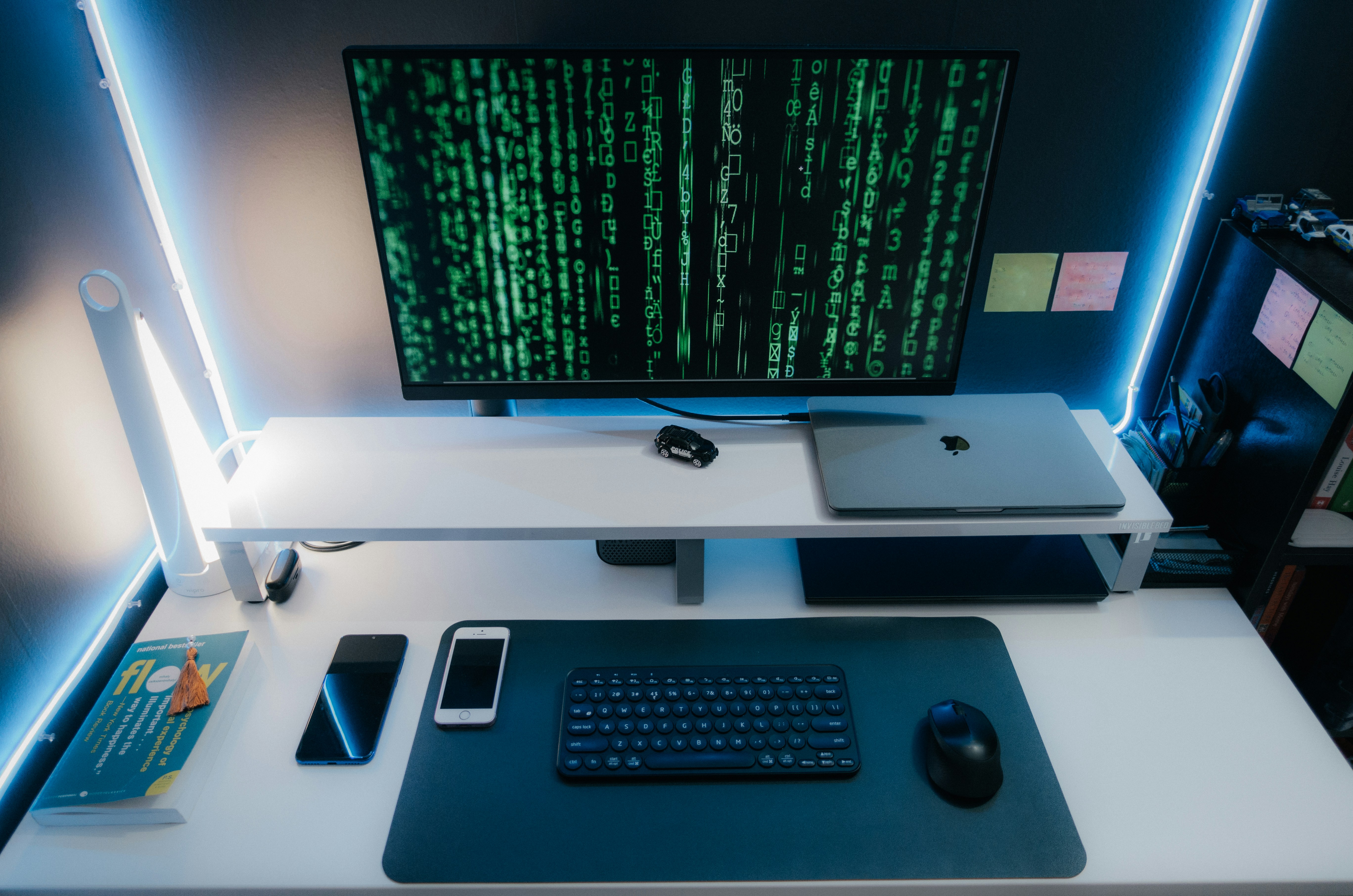 Why Every Business Needs a Cybersecurity Expert