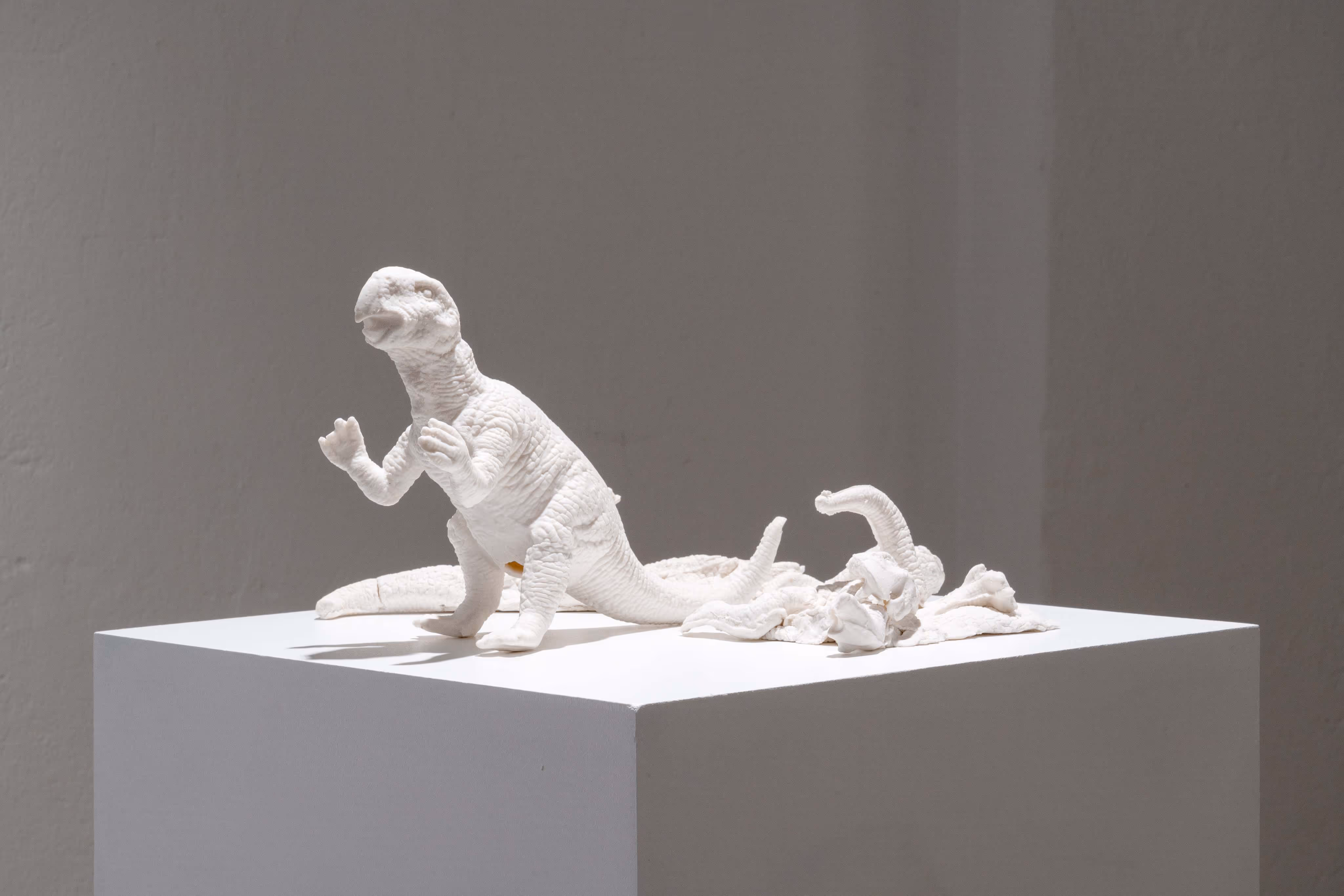 Micha Otto »Reflexzonen«