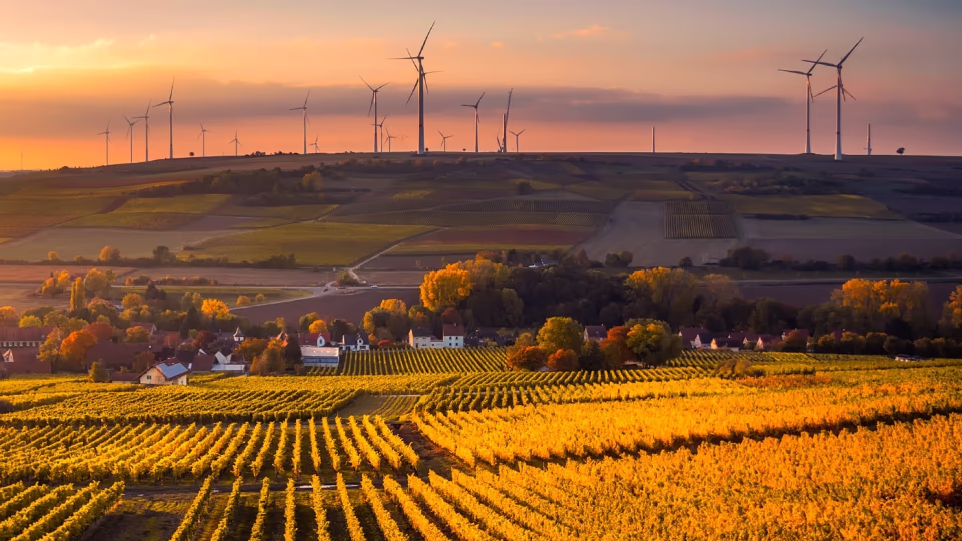 A sunset image of a European landscape with windmills in the background