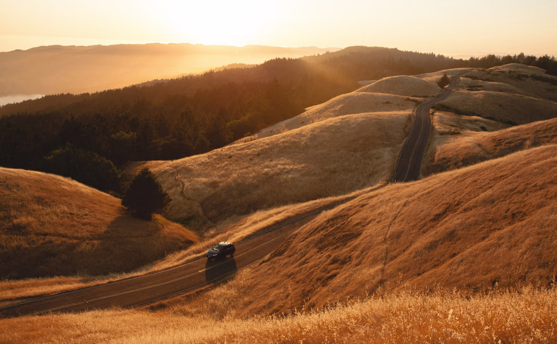 A serene landscape at sunset. A winding road cuts through rolling golden hills covered in dry grass. A lone car is driving on the road, surrounded by the warm glow of the setting sun. In the background, dense green trees and distant hills blend into the horizon.