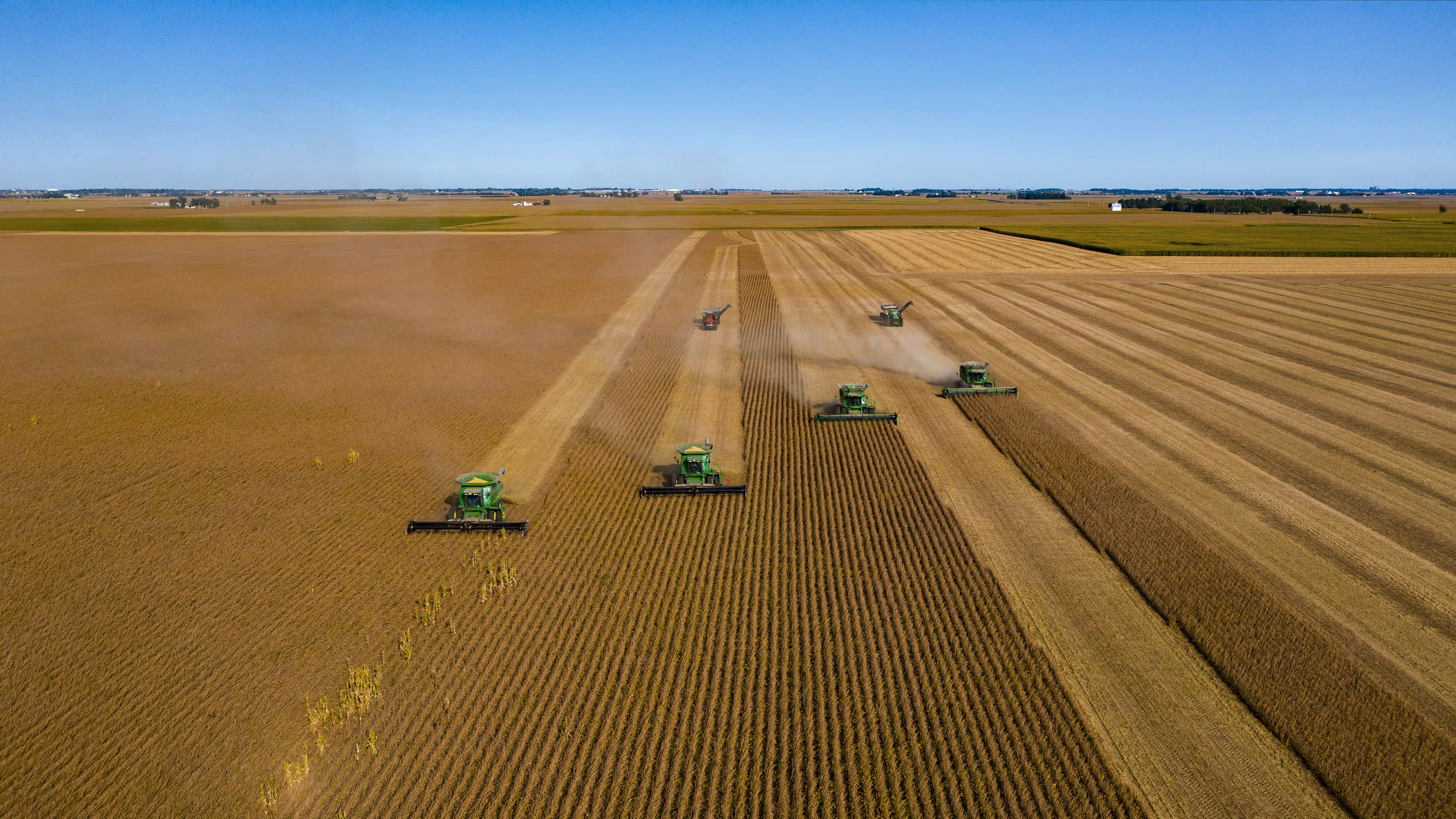 Aerial view of multiple green combine harvesters working in parallel on a vast golden crop field, harvesting grain under a clear blue sky. The scene highlights large-scale agricultural machinery and modern farming techniques.