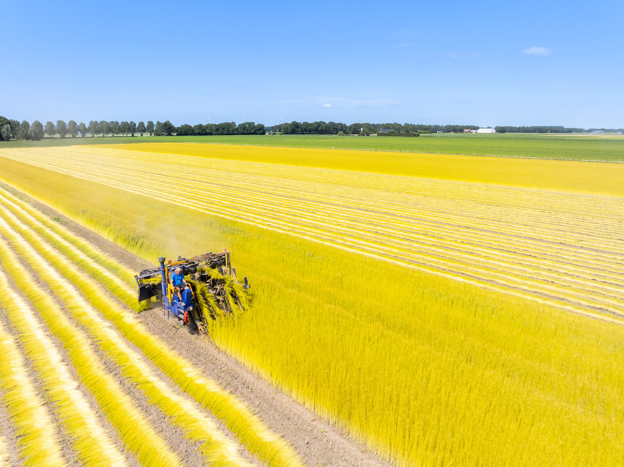 Biobased VLAS oogst