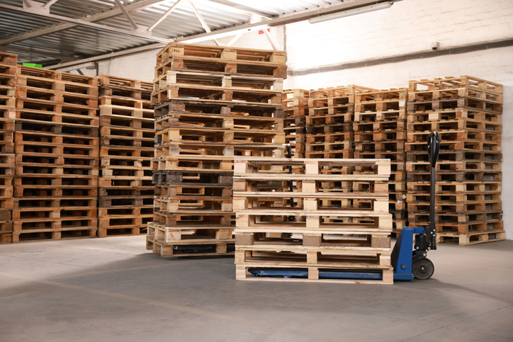 Large industrial warehouse filled with stacked wooden pallets and a blue pallet jack on the concrete floor beneath a metal ceiling.