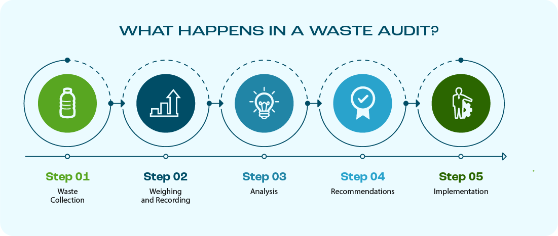 5 Steps of What Happens in a Waste Audit
