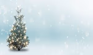 Lean joulu 300x179