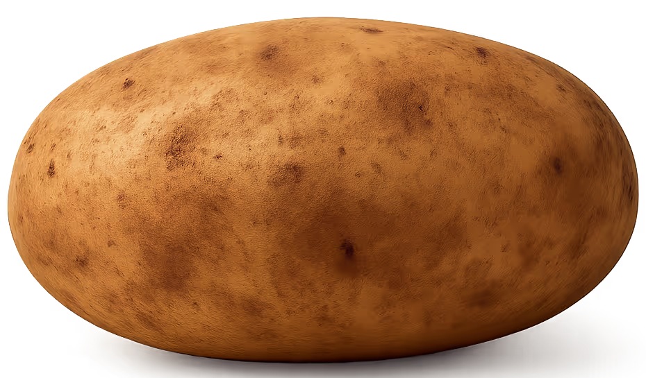 Potato