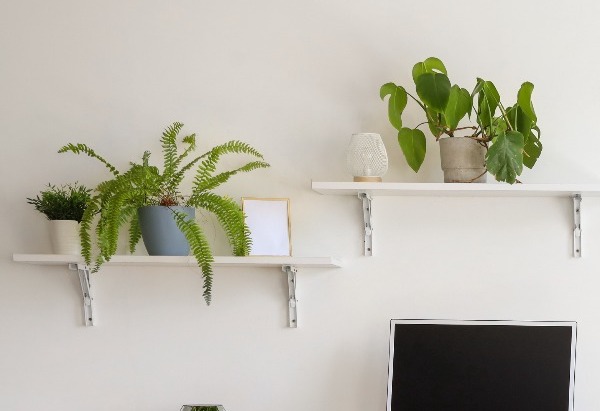 Decor Image