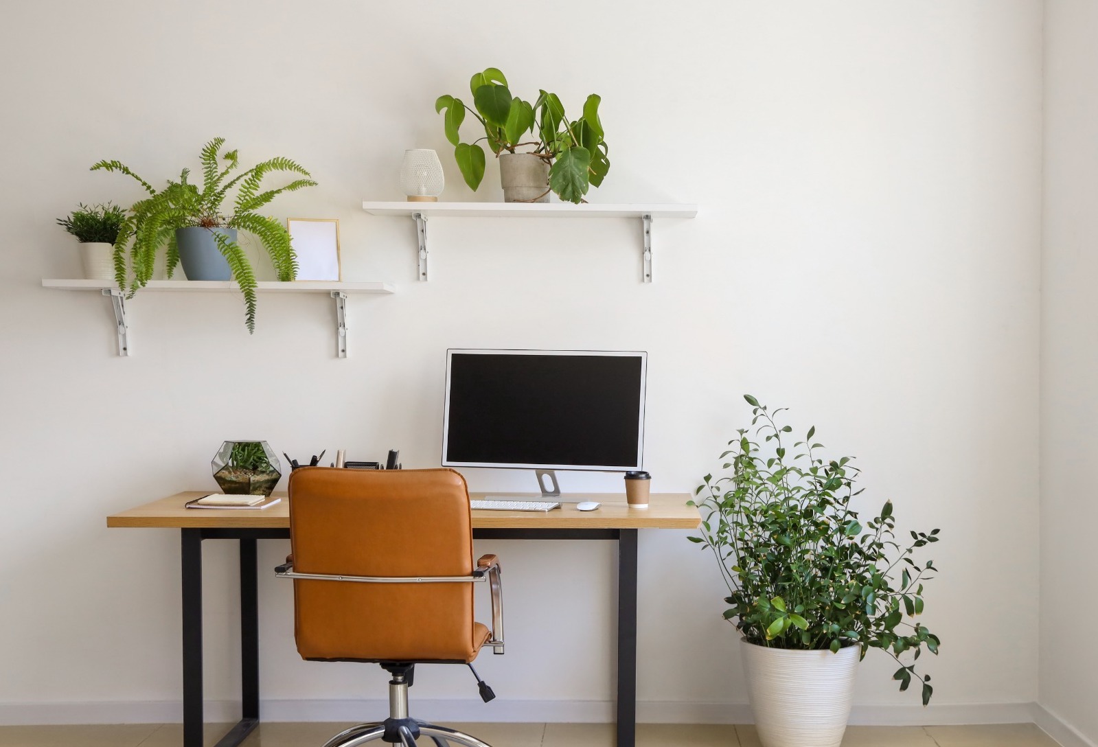 Decor Image