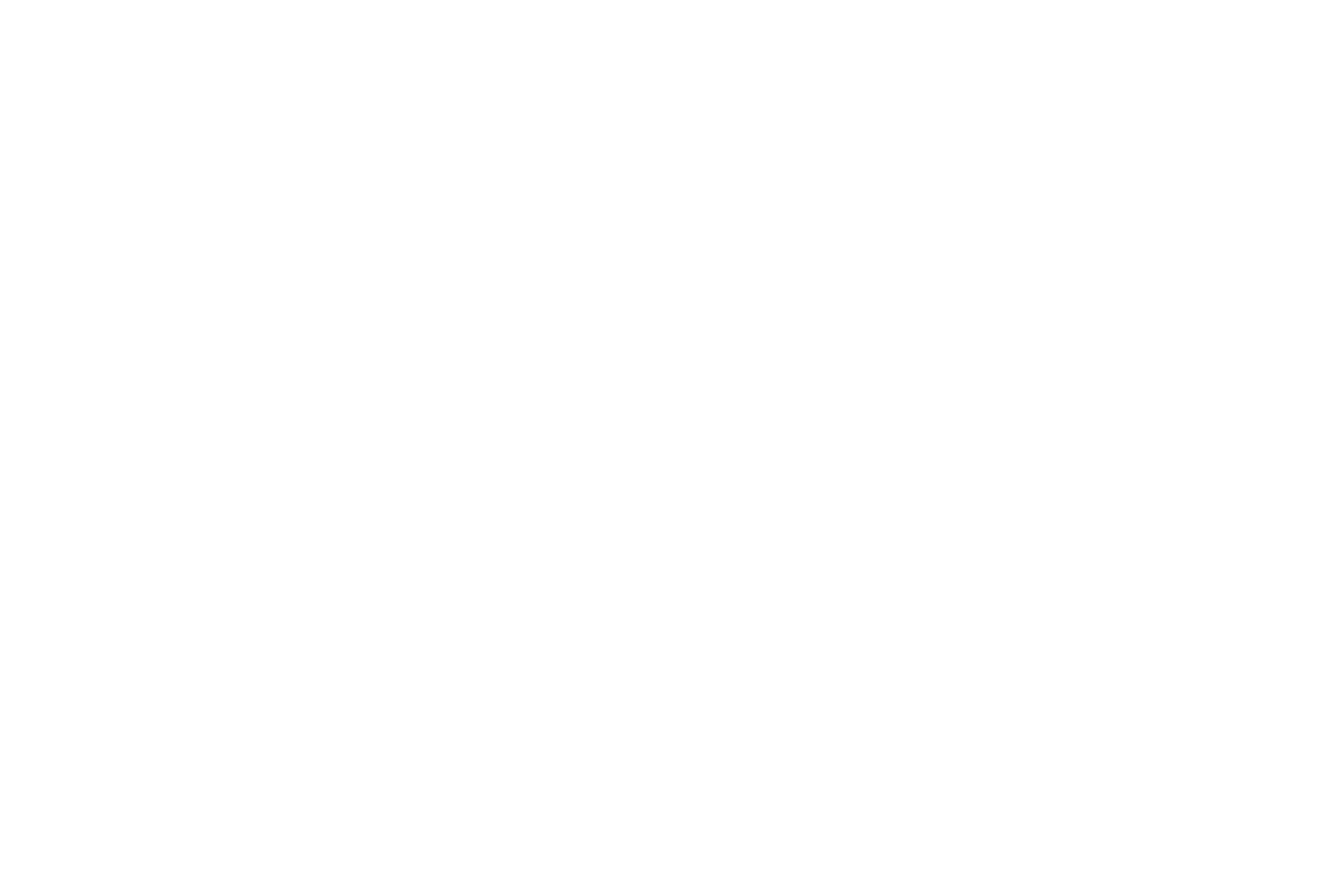 Victoria Carpets 
