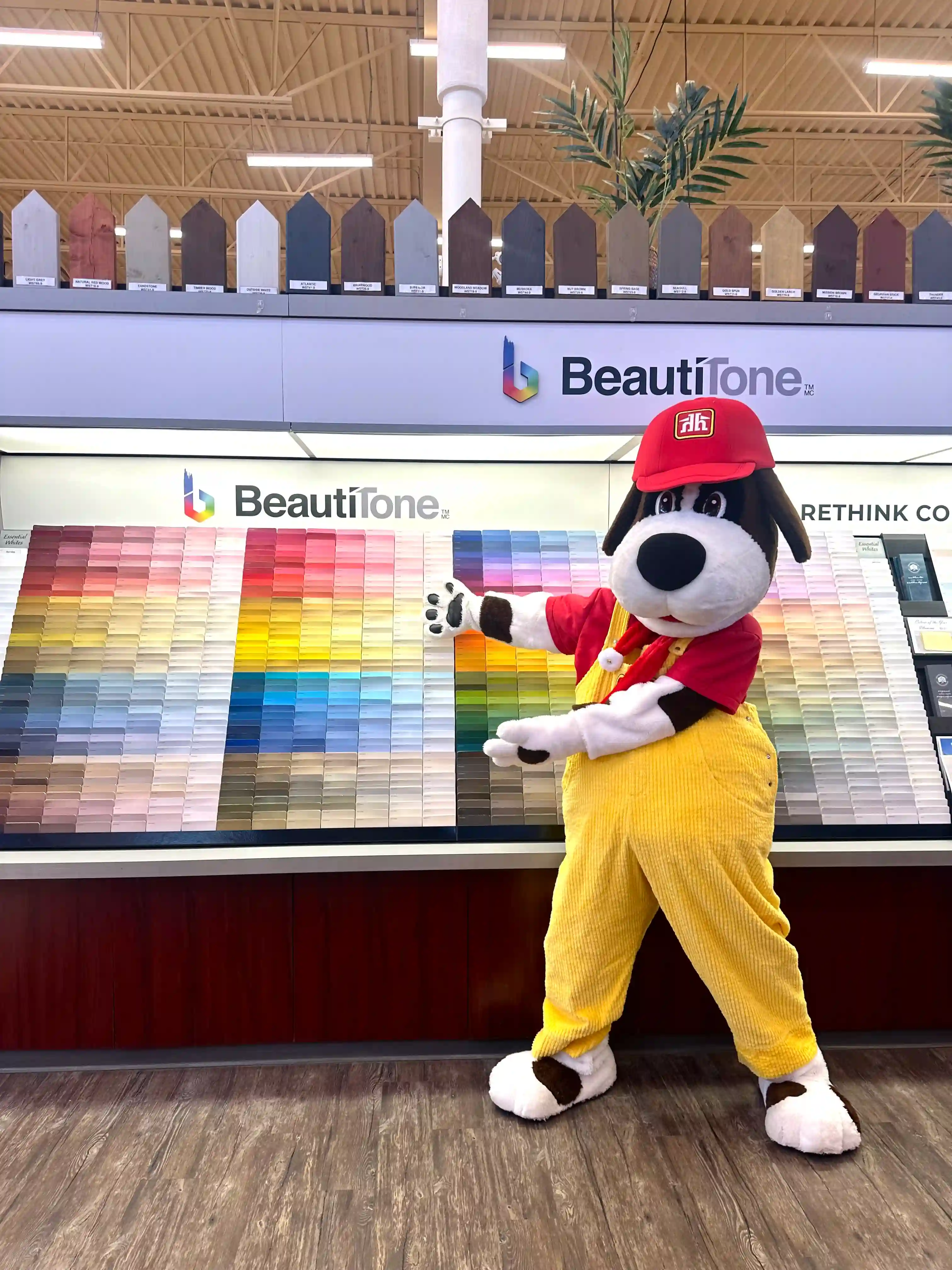 Heinen Group Home Hardware mascot posing in front of paint swatches