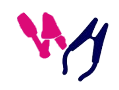 The Paak logo
