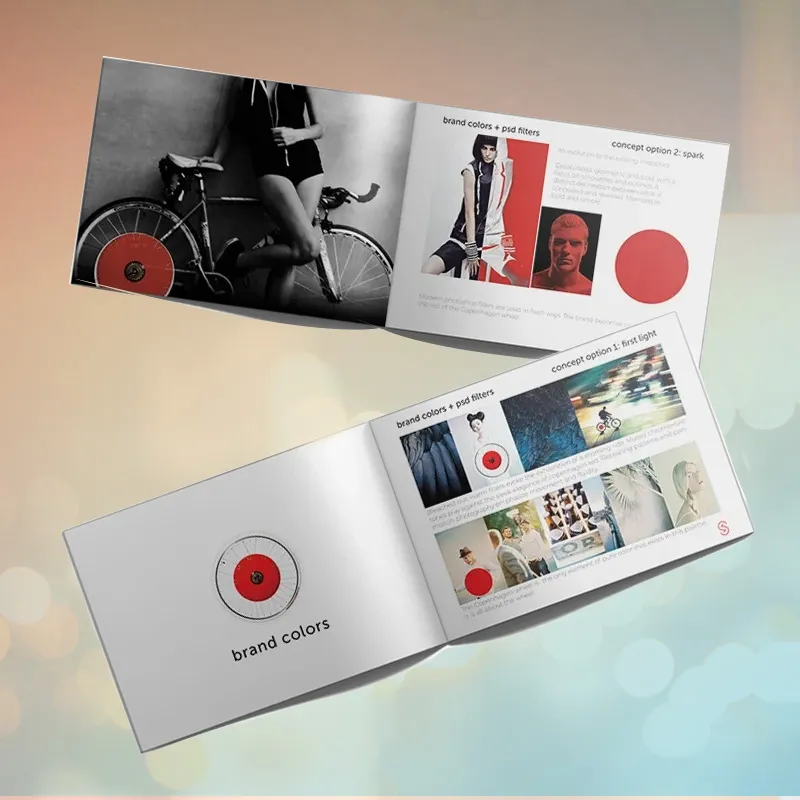 Printed brand guidelines and visual identity standards showcasing logo usage, typography, color palette, and brand system development by Gryphon Design Strategy.