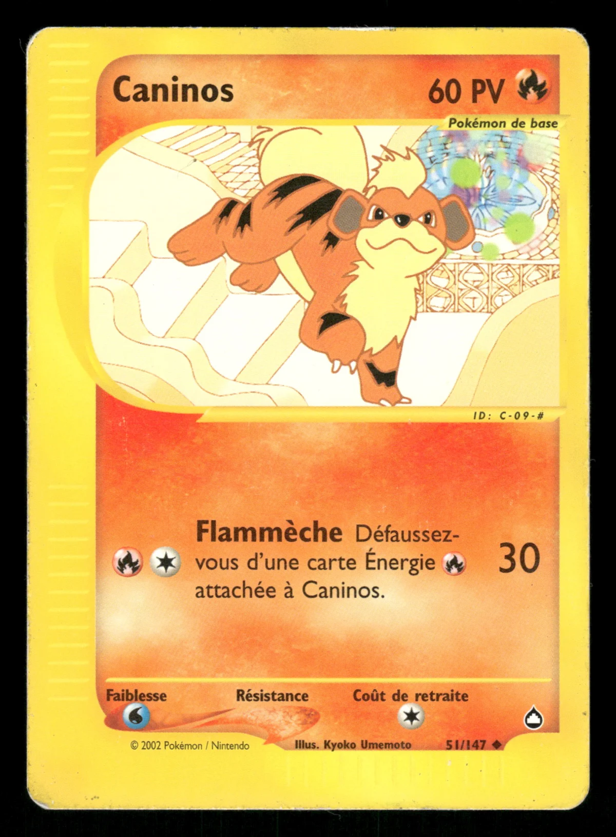 Caninos 51/147