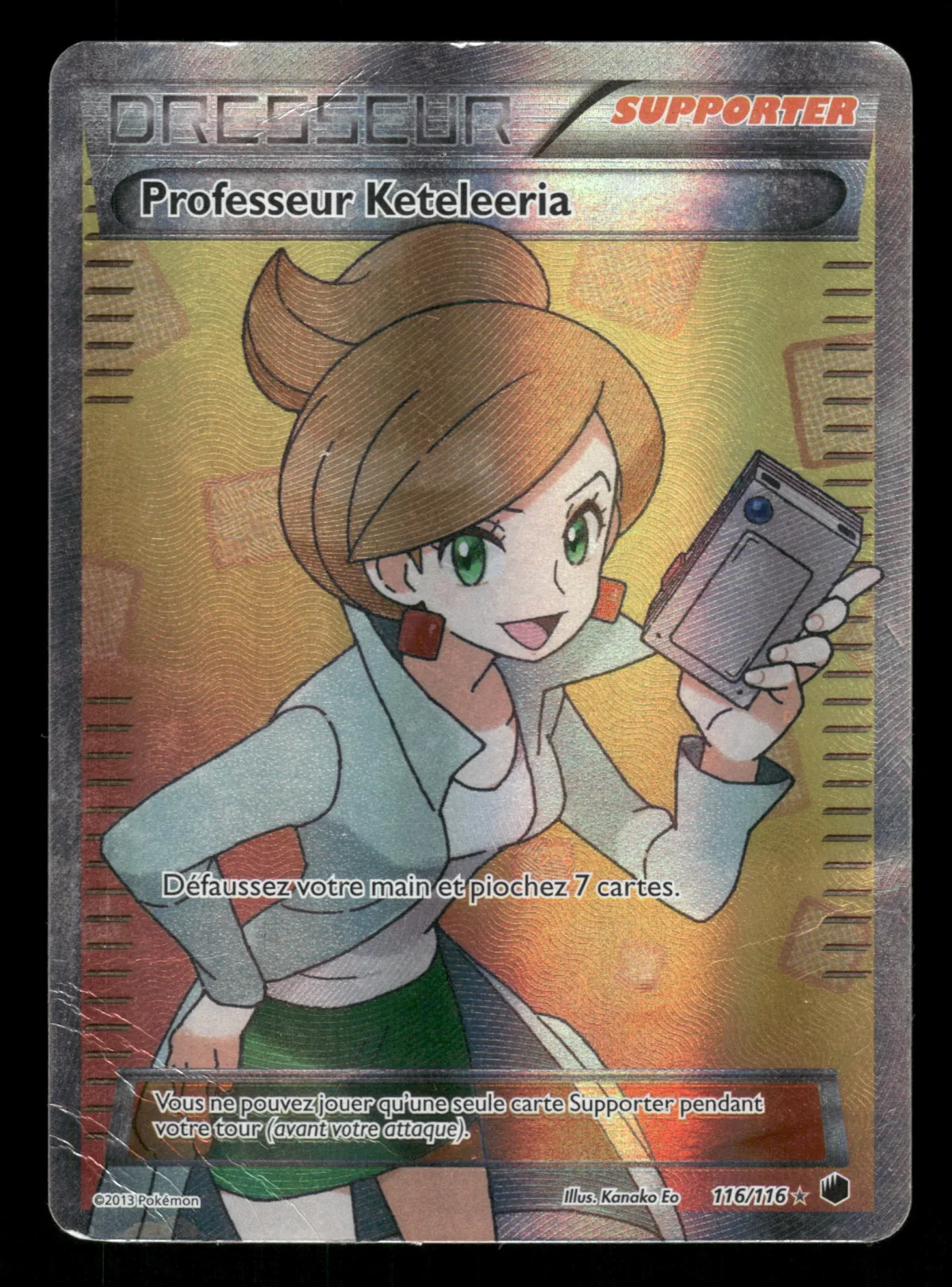 Professeur Keteleeria 116/116