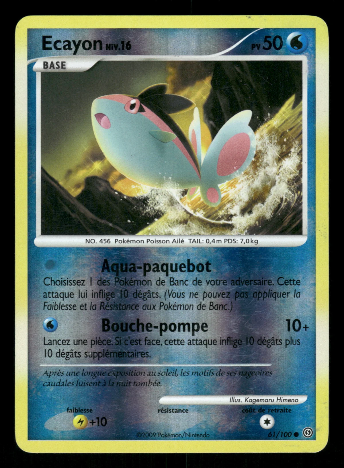 Ecayon 61/100