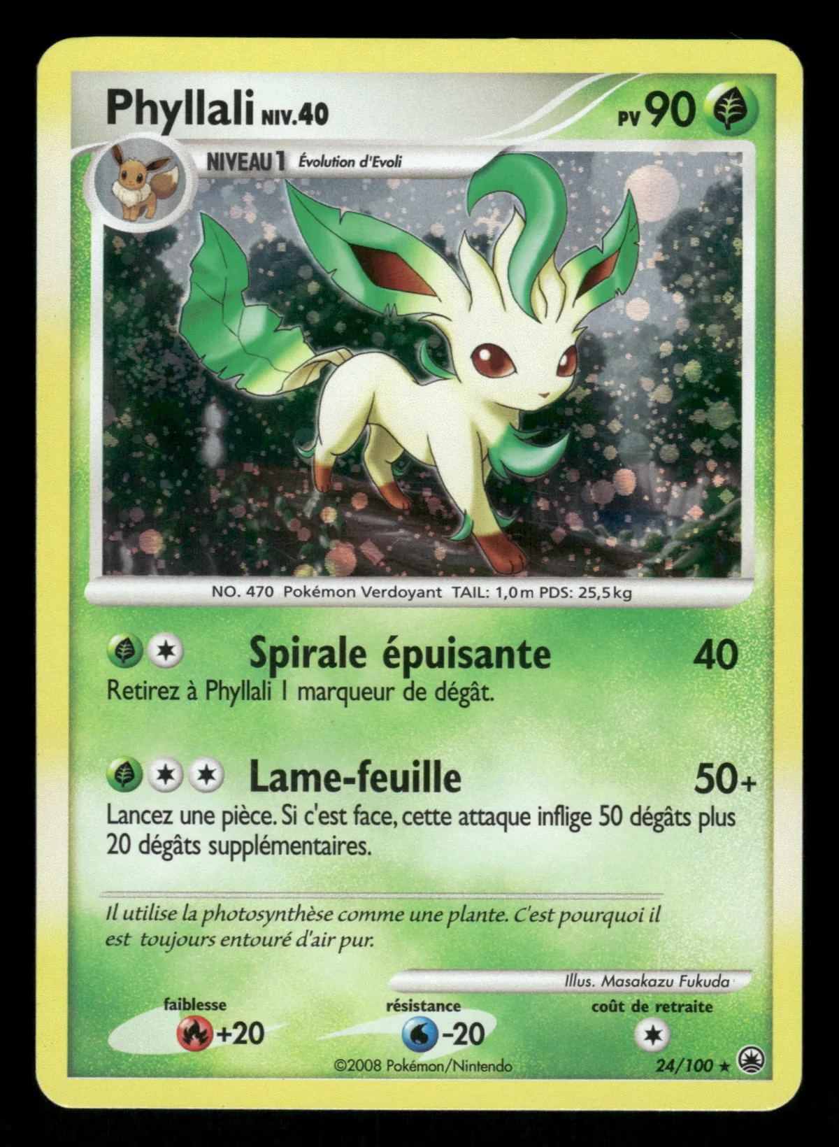 Phyllali 24/100
