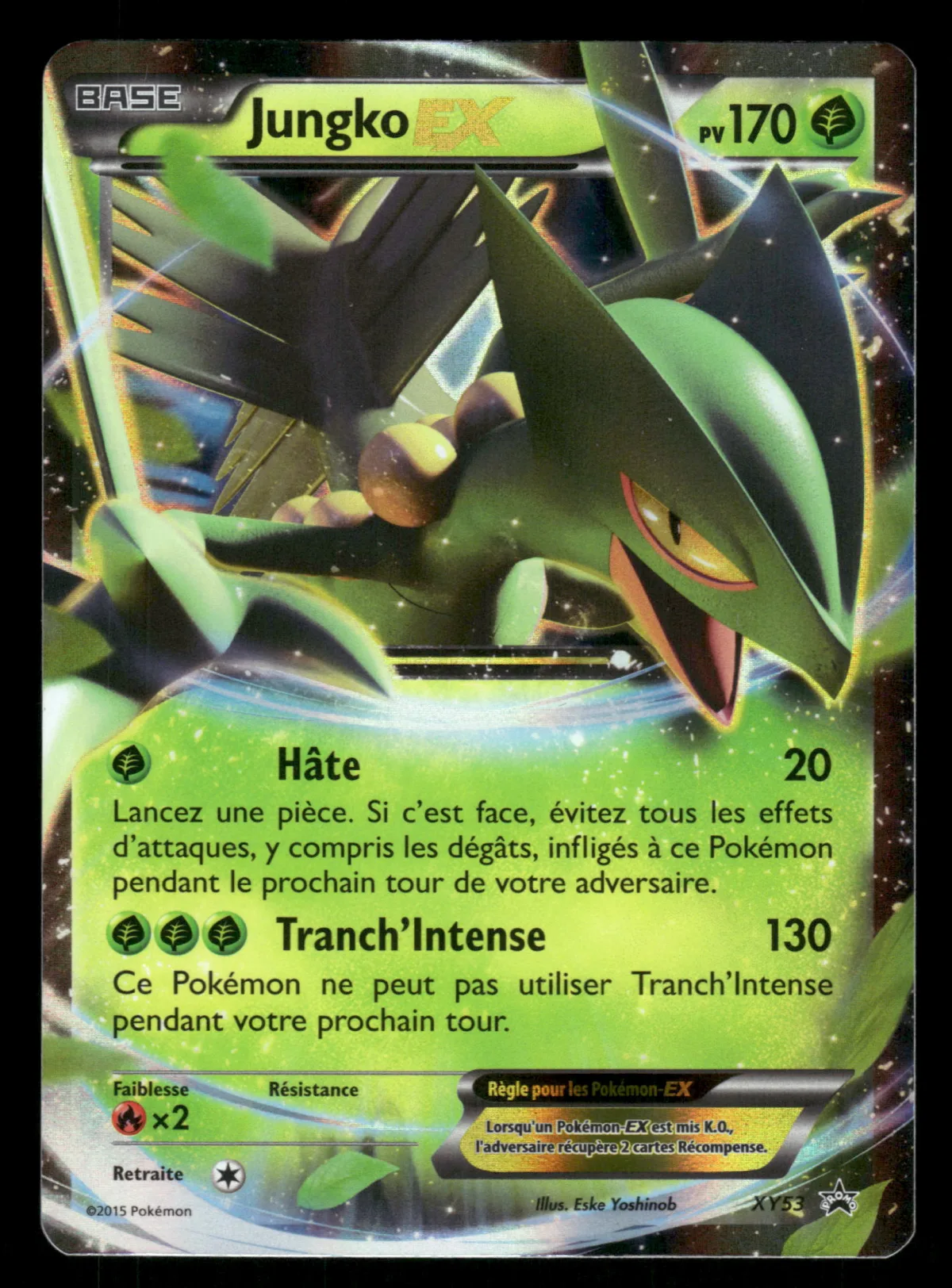 Jungko EX XY53