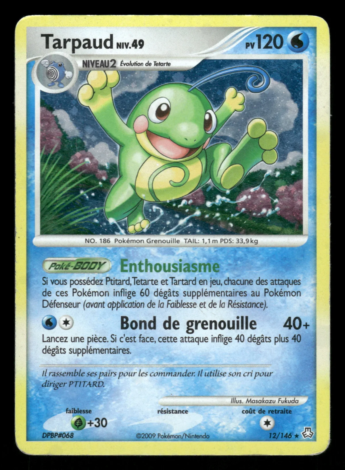Tarpaud 12/146