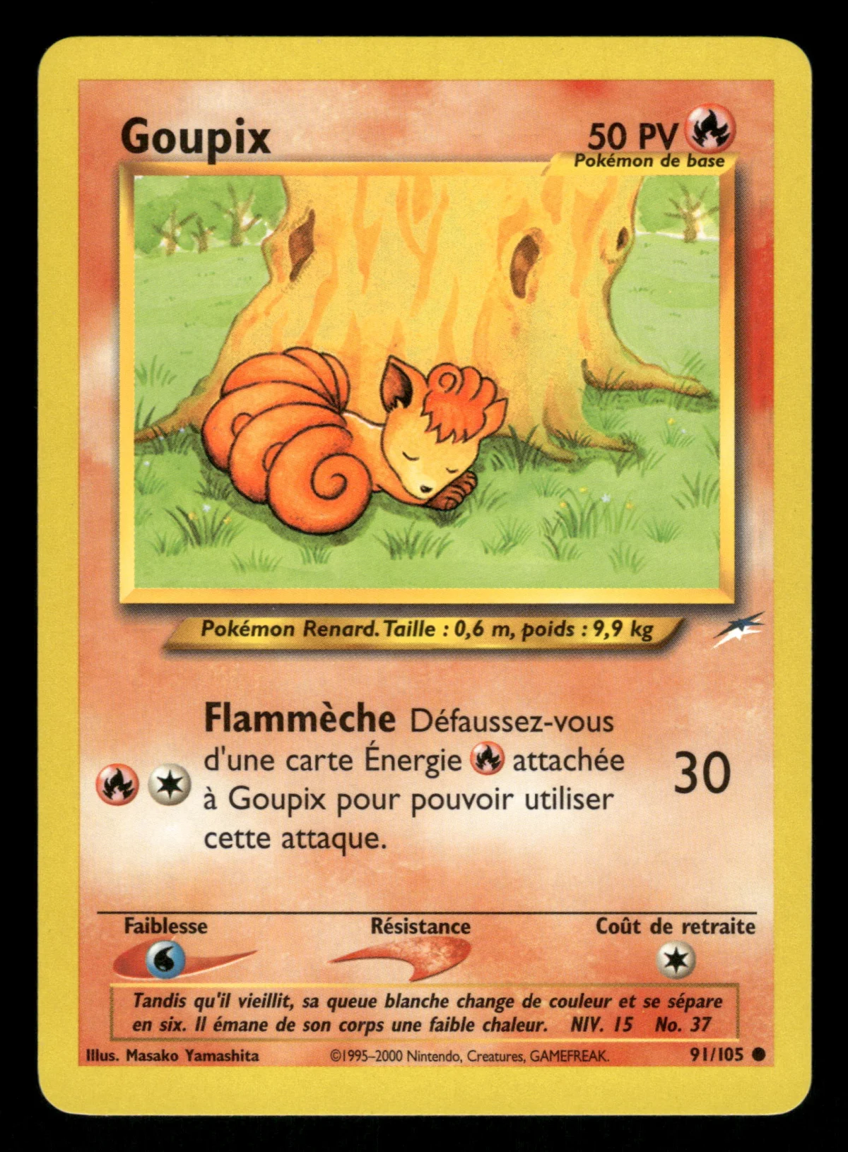 Goupix 91/105