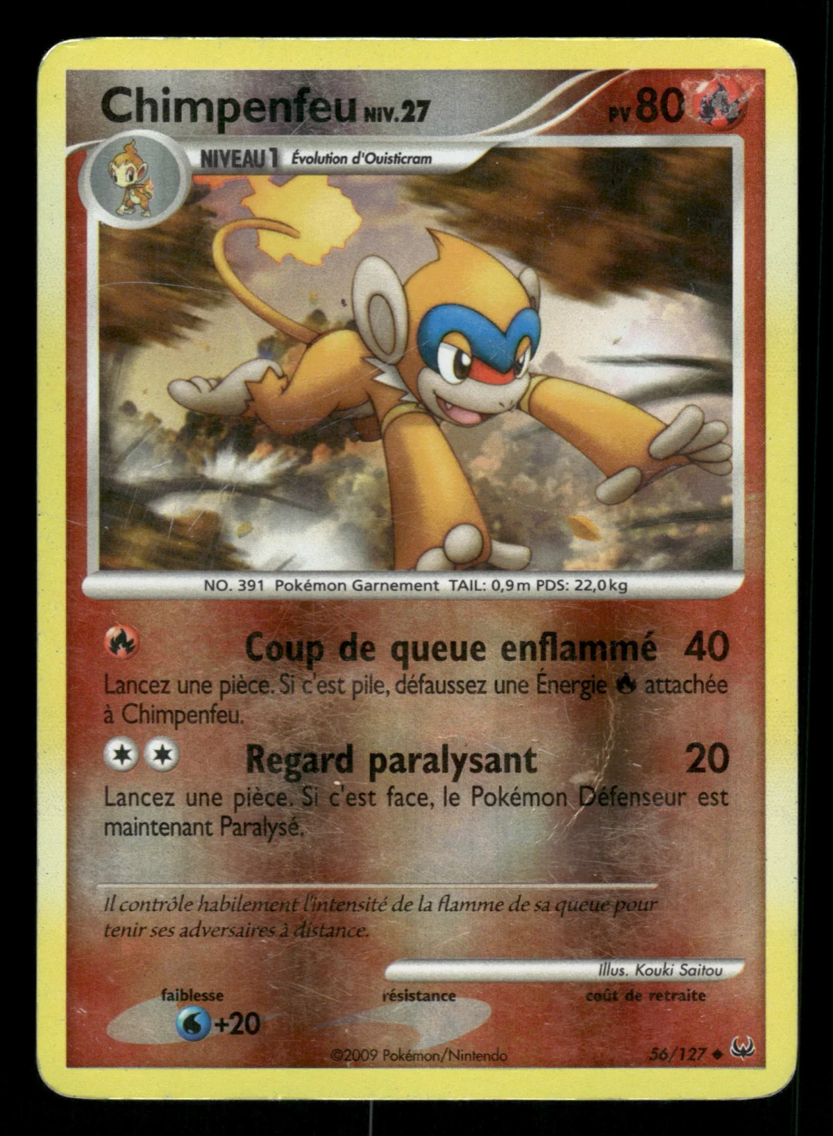 Chimpenfeu 56/127