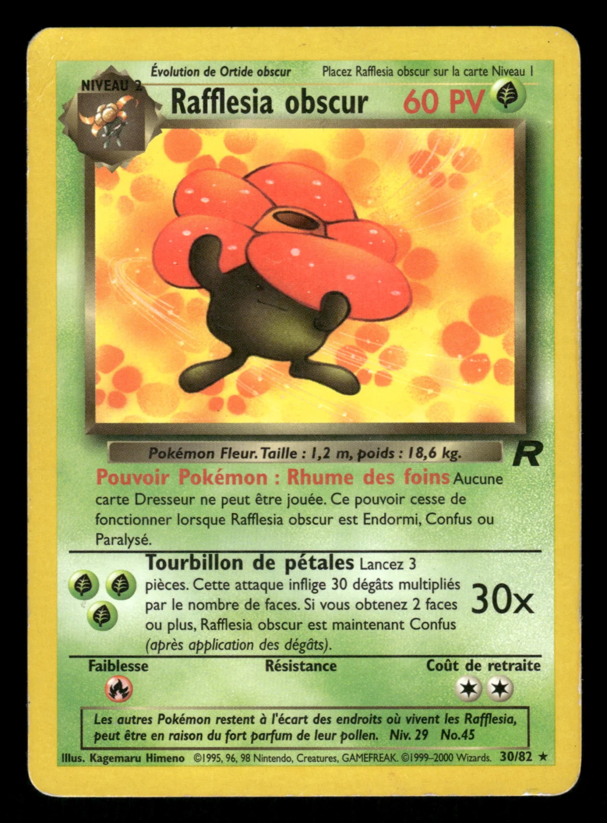Rafflesia obscur 30/82