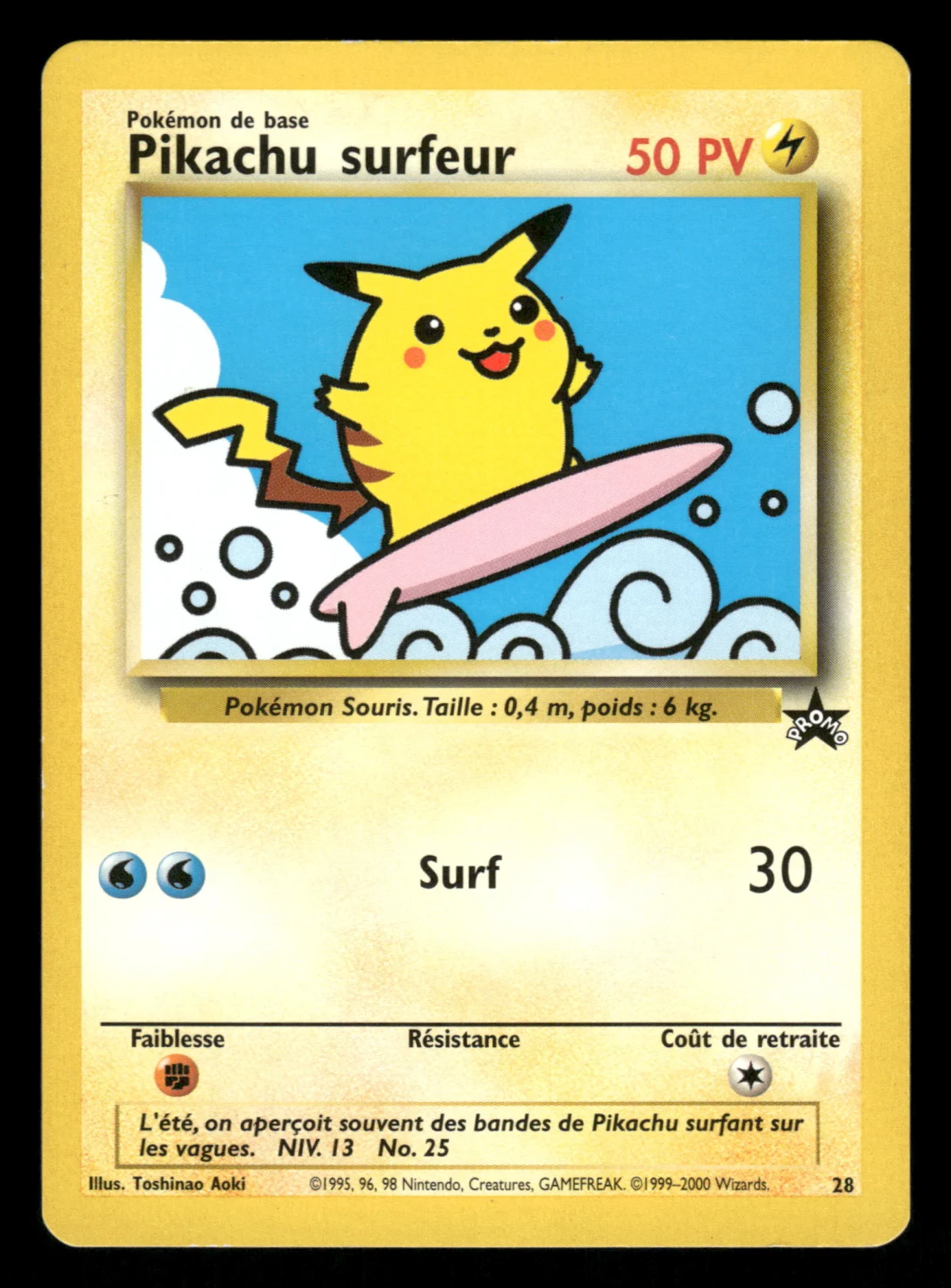 Pikachu surfeur 28