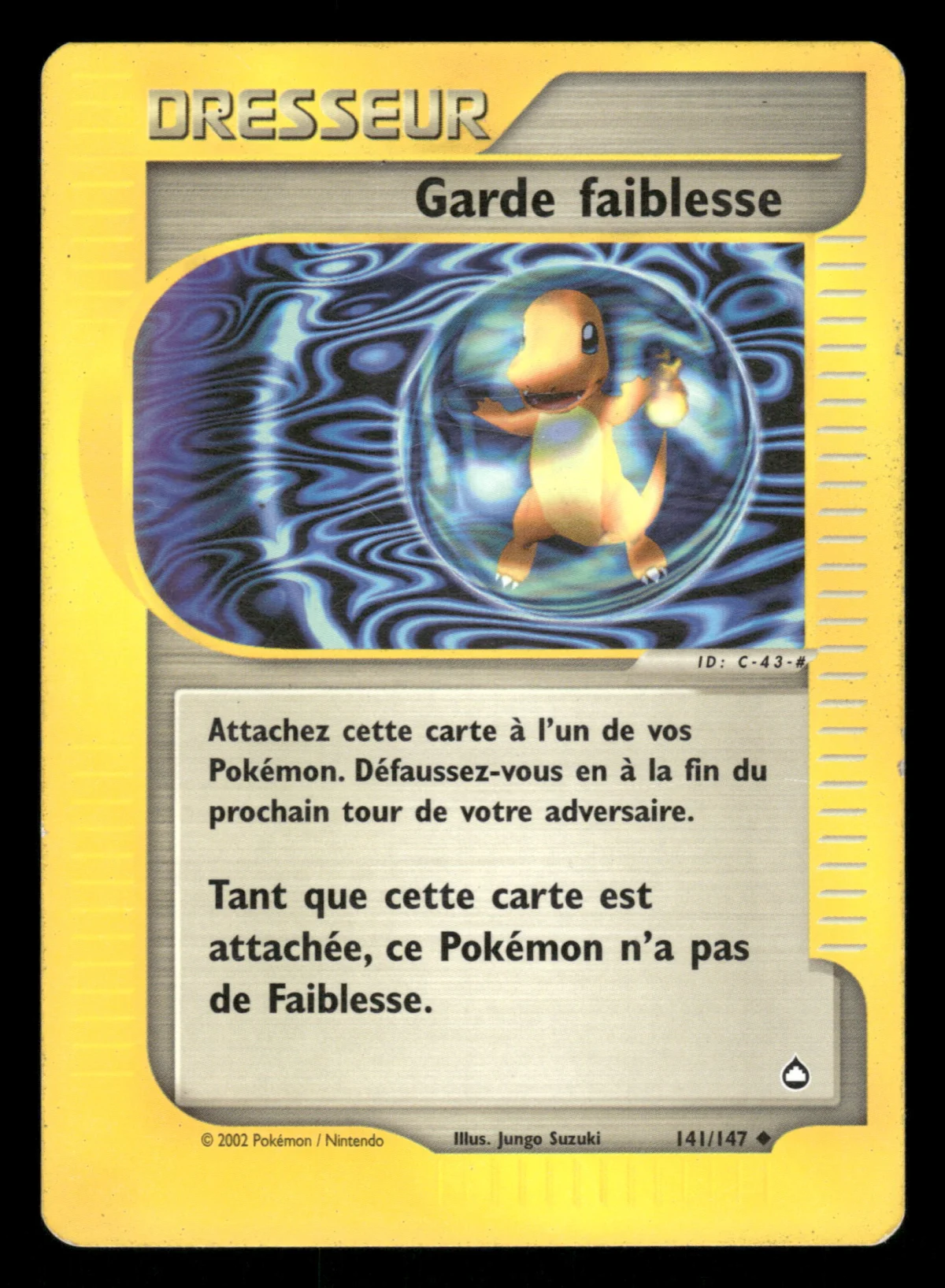 Garde faiblesse 141/147