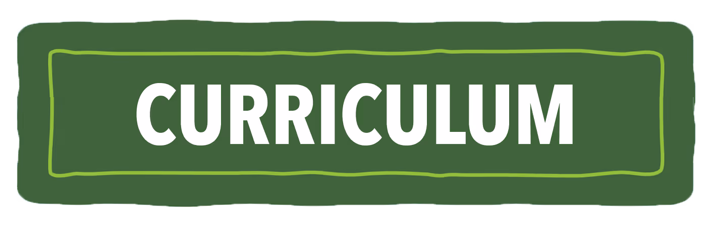 Green Banner with text: CURRICULUM