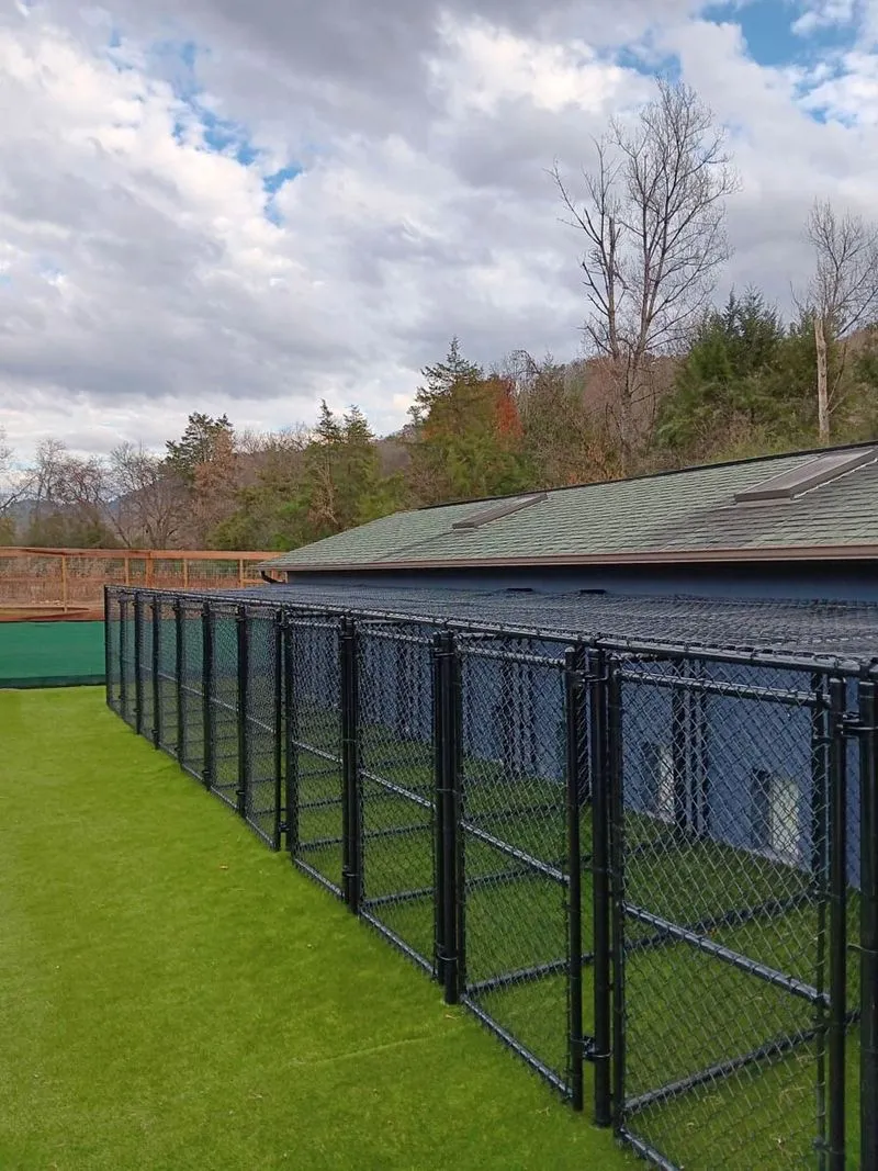 Cricket Lane black chain link