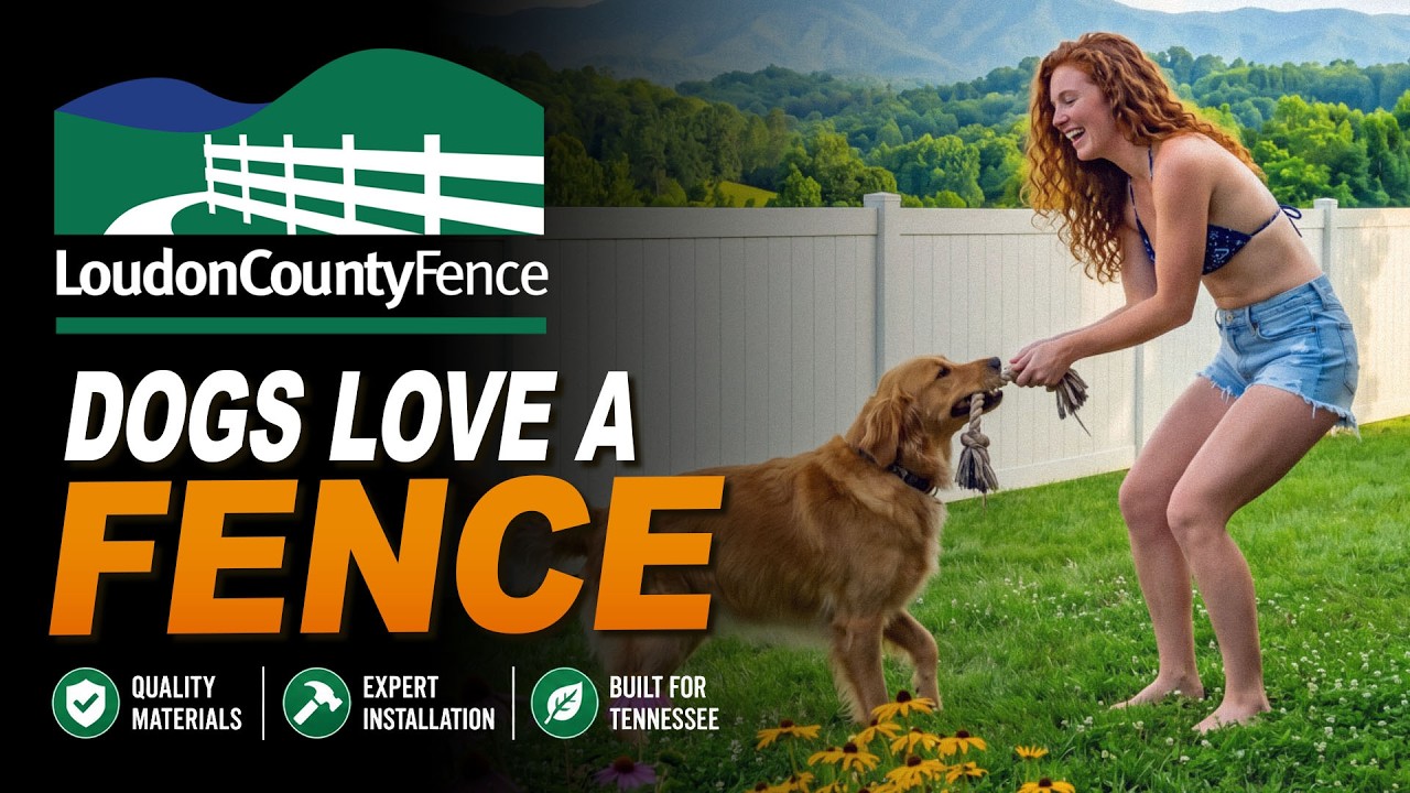 Dog running in a fenced backyard in East Tennessee enclosed by Loudon County Fence