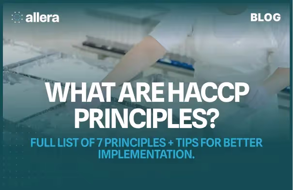 What are HACCP Principles? Full List + Tips