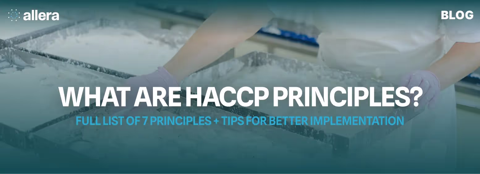 What are HACCP Principles? Full List + Tips