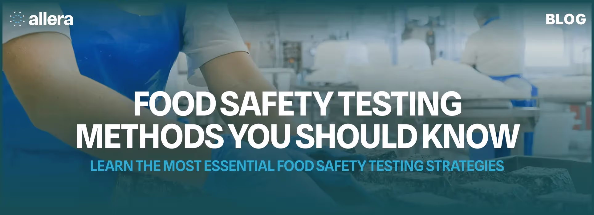 Essential Food Safety Testing Methods You Should Know