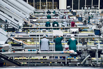 Food Safety Weekly Roundup 3