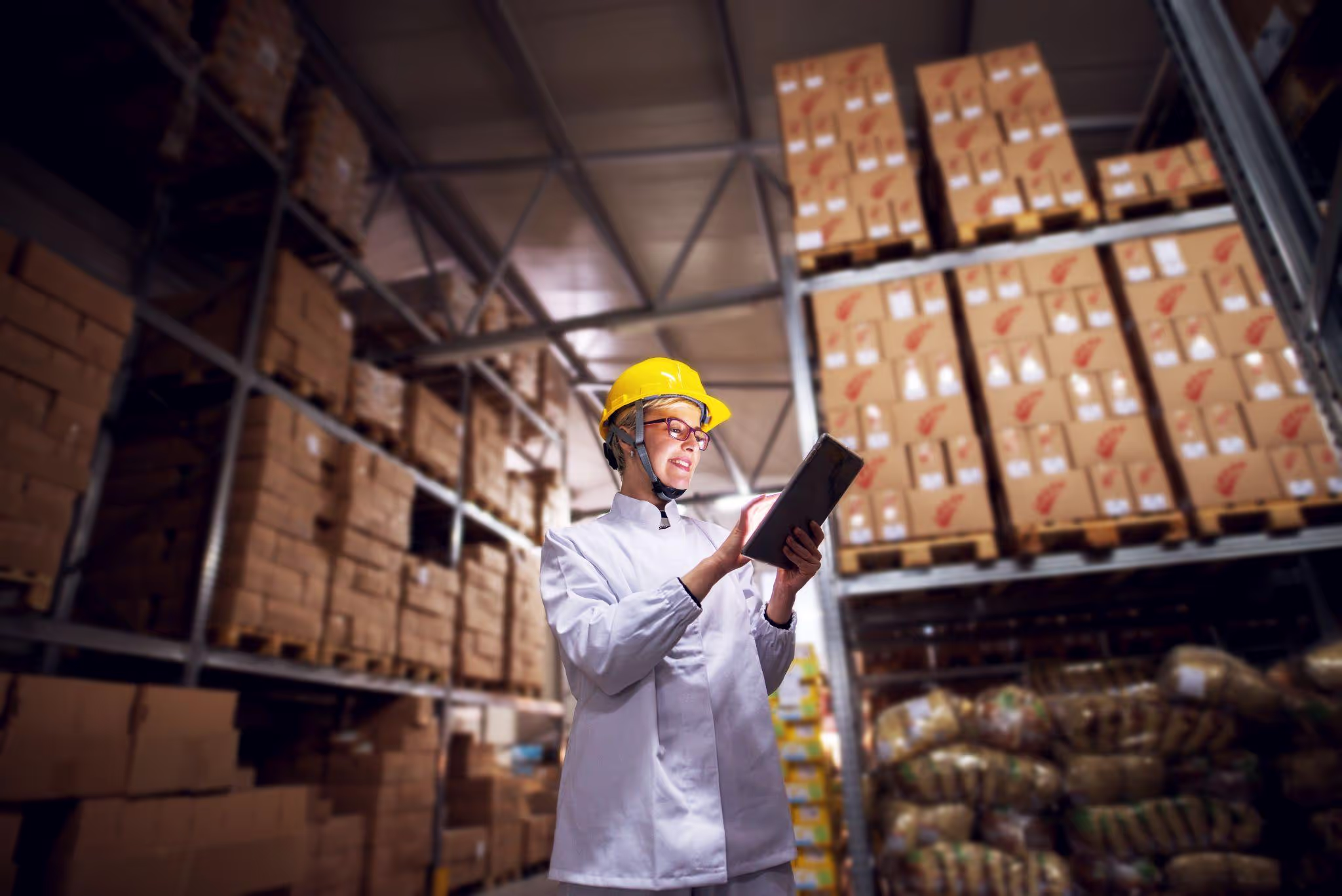Five Challenges for CEOs Today Regarding Food Safety