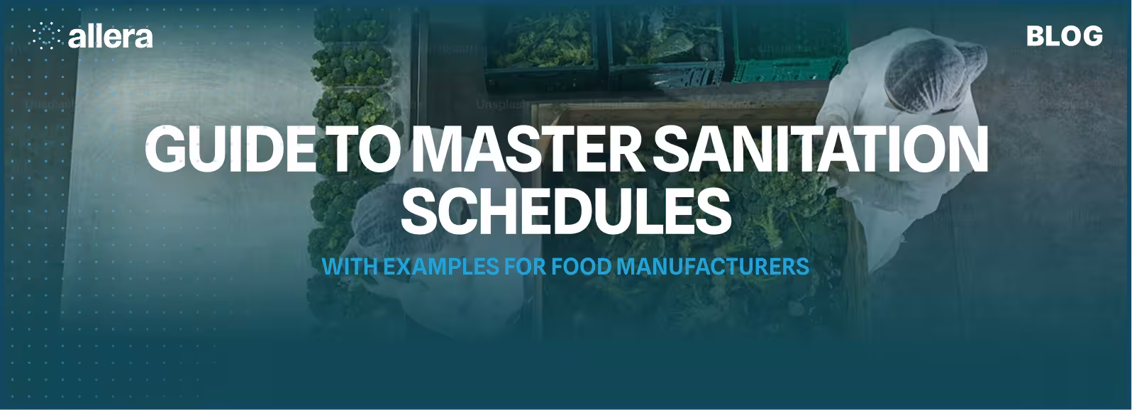 Master Sanitation Schedules | Full Guide with Examples