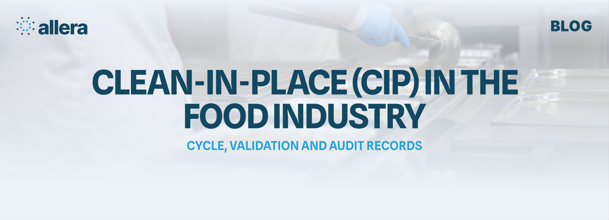 Clean-in-Place (CIP) in the Food Industry: Cycle, Validation, and Records