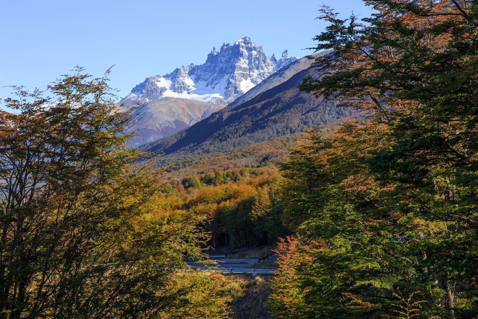 Cerro Castillo peaks above native lenga forest on the Carretera Austral, Aysén, Chile