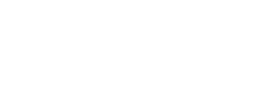 NZ Story logo