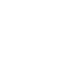 NZ T&E logo