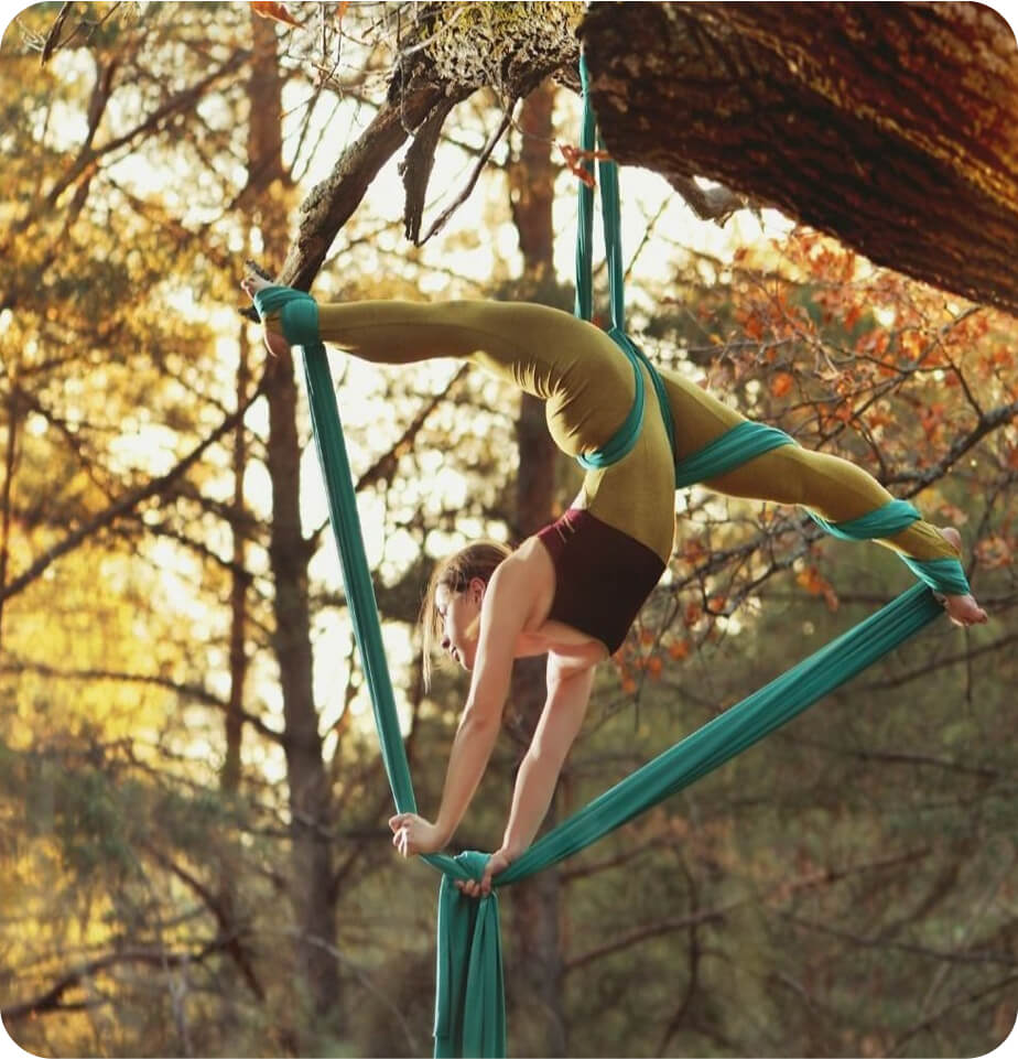 aerial artist - performing arts pt services