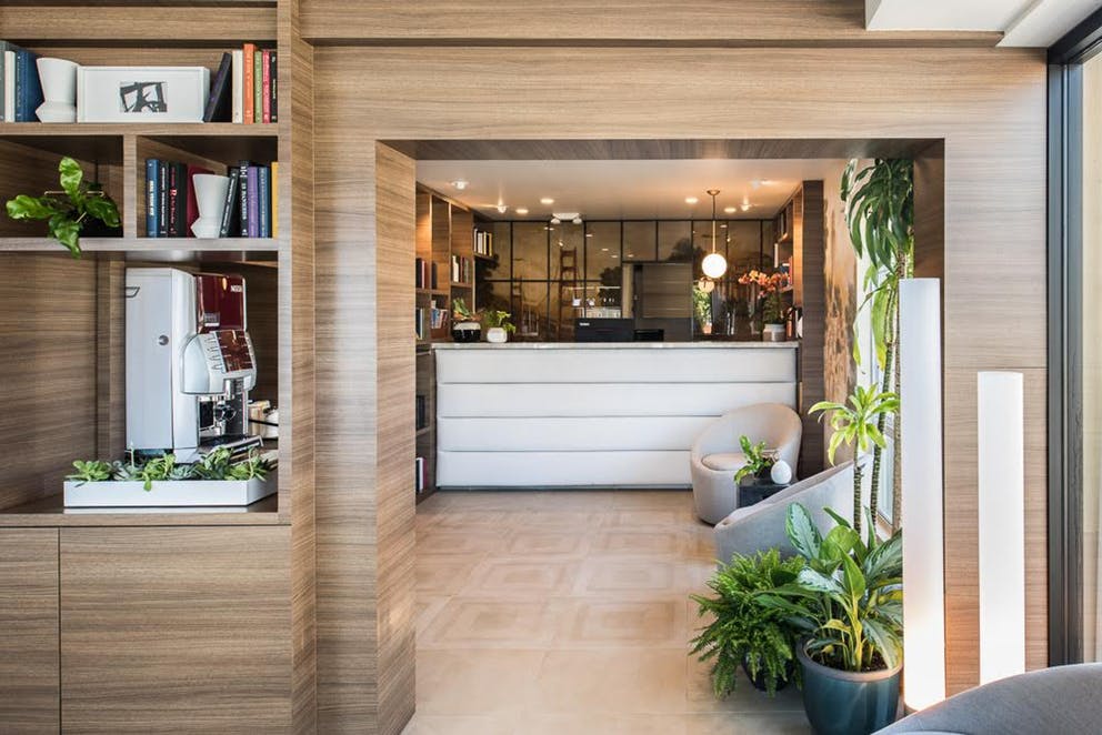 Modern reception area with white desk, curved chairs, wooden shelves, and several green plants near large windows.