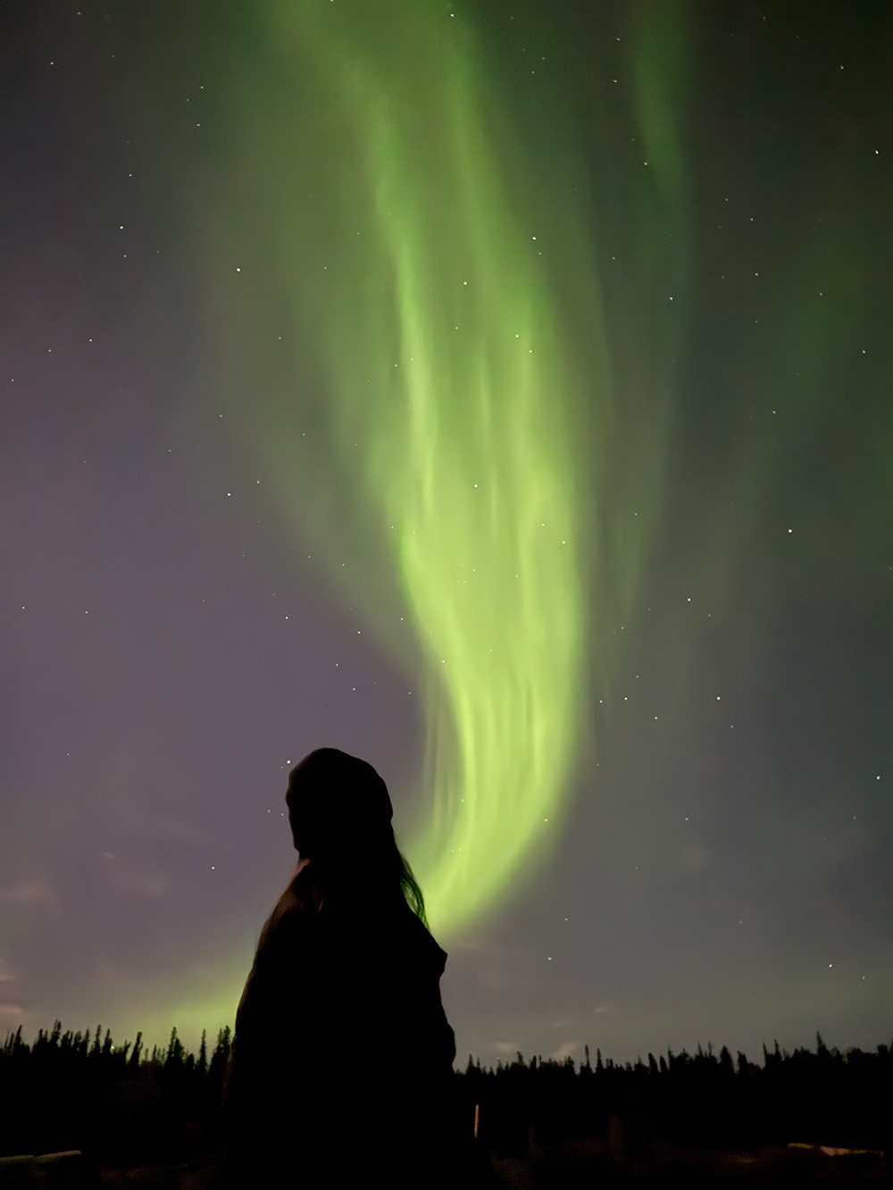 A person stands silhouetted at night in the foreground with the aurora borealis shining in the sky in the background.