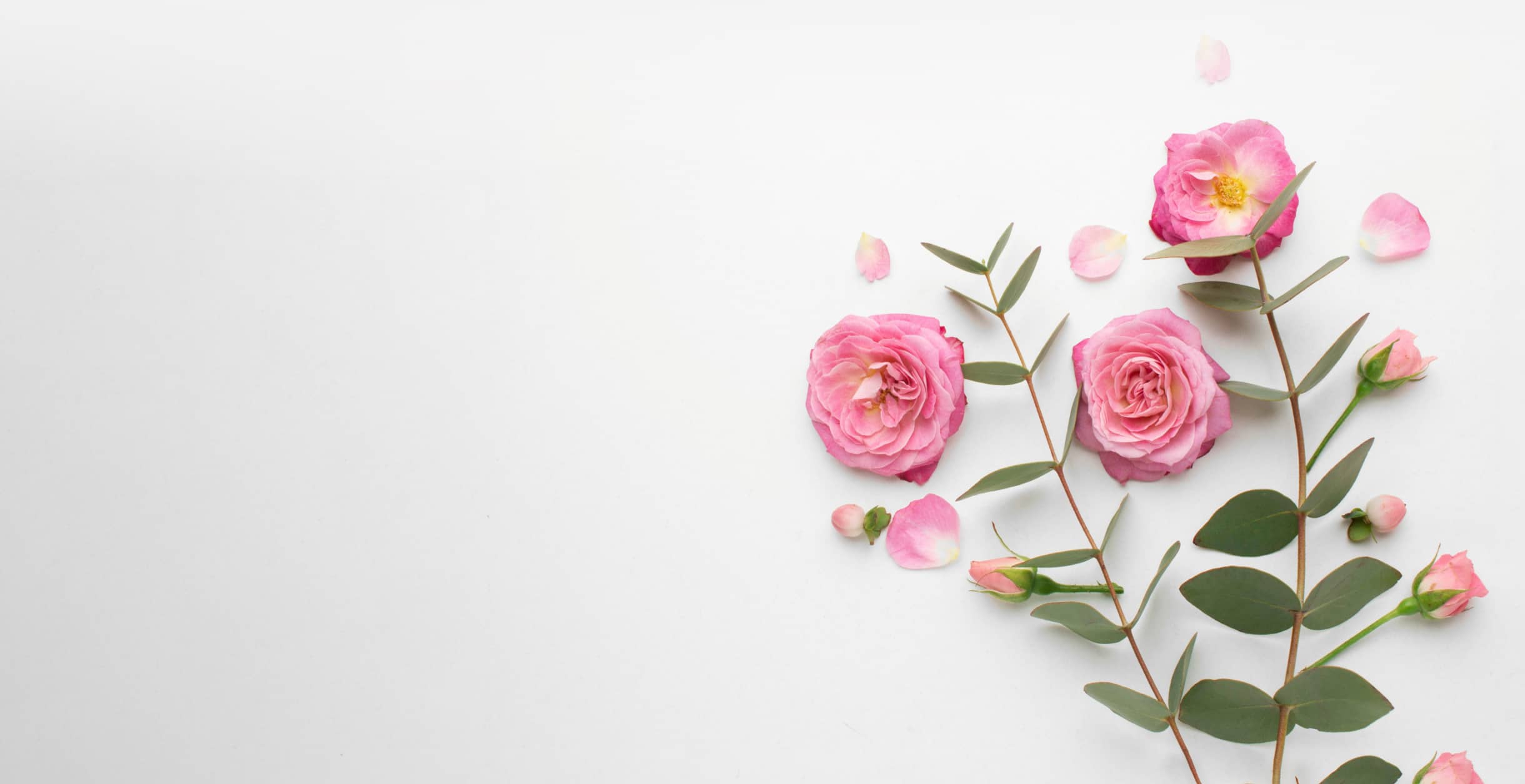 Three Beautiful Image Large Roses - Flowers X Webflow Template