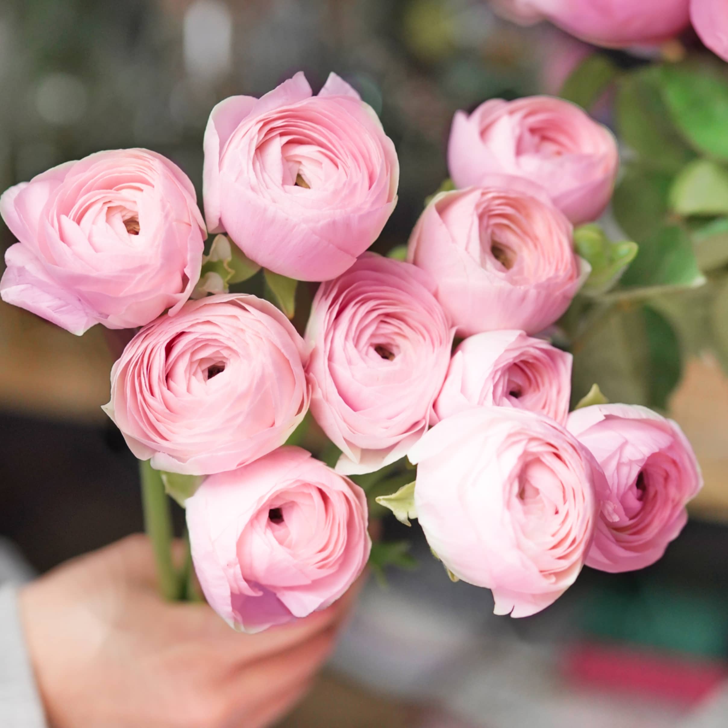 Instagram Image 01 - Flowers X Webflow Template