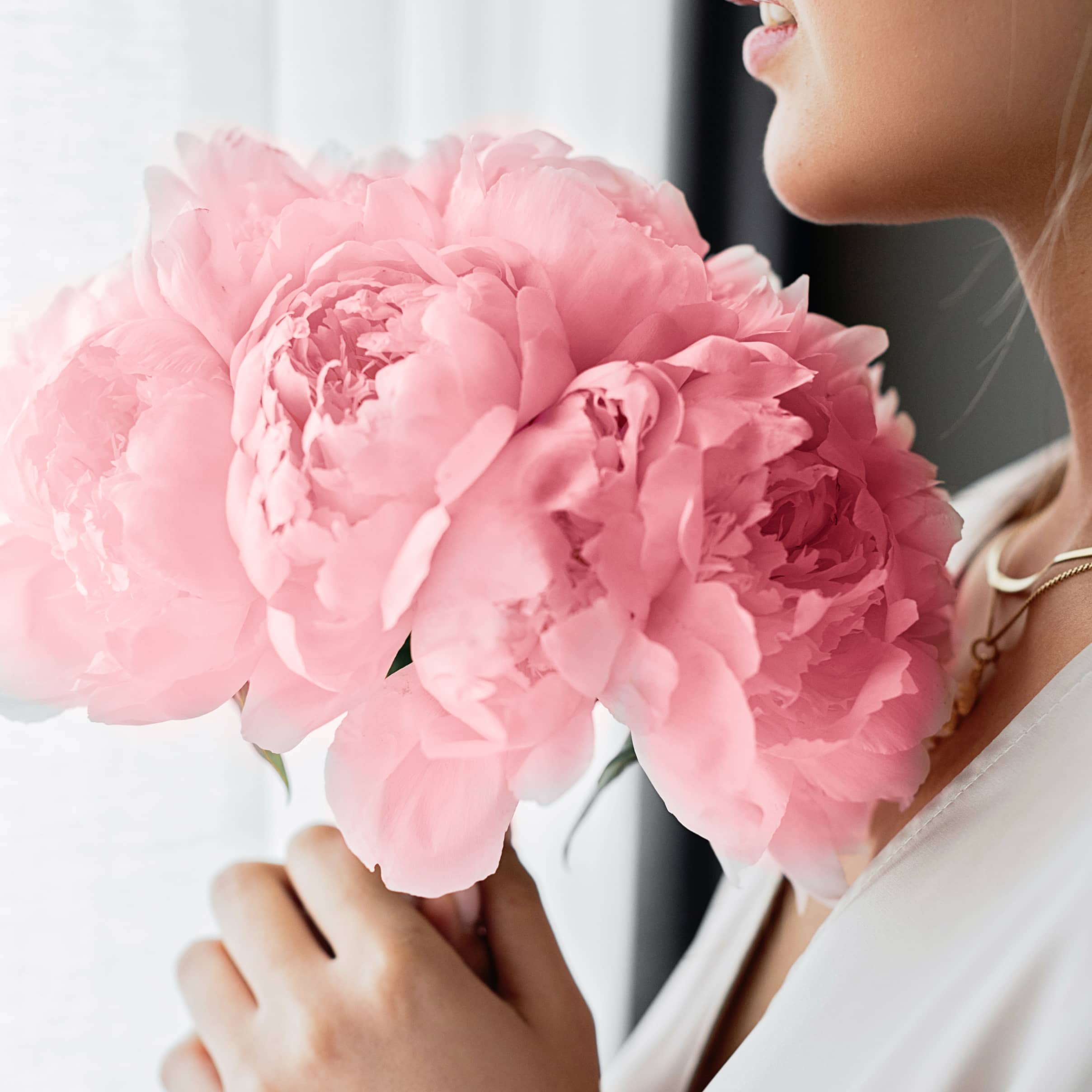 Instagram Image 03 - Flowers X Webflow Template