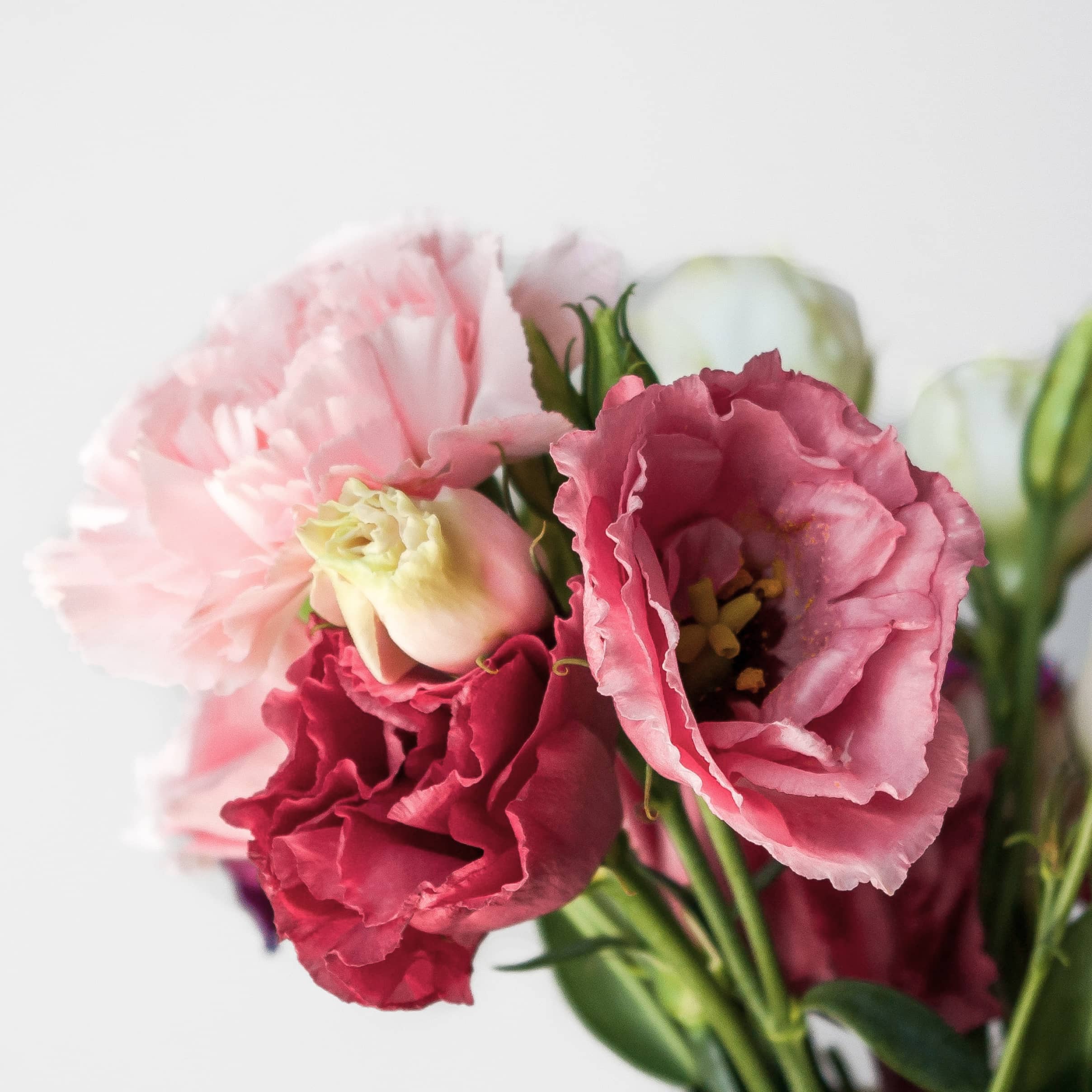 Instagram Image 05 - Flowers X Webflow Template