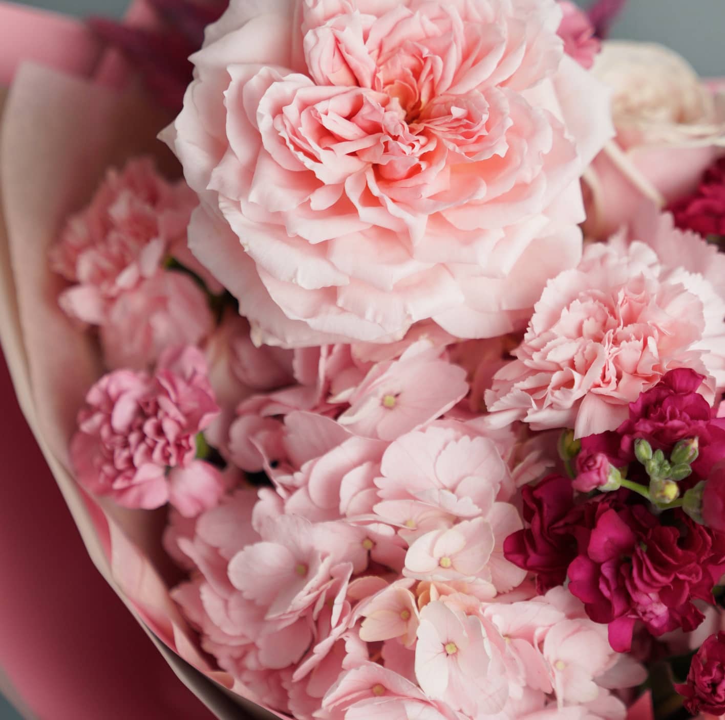 Beautiful Flowers Red And Pink - Flowers X Webflow Template